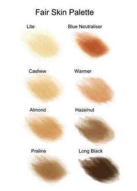 Bluebird Fair Skin Ink Palette - The Makeup Armoury